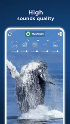 Nature Sounds android App screenshot 7